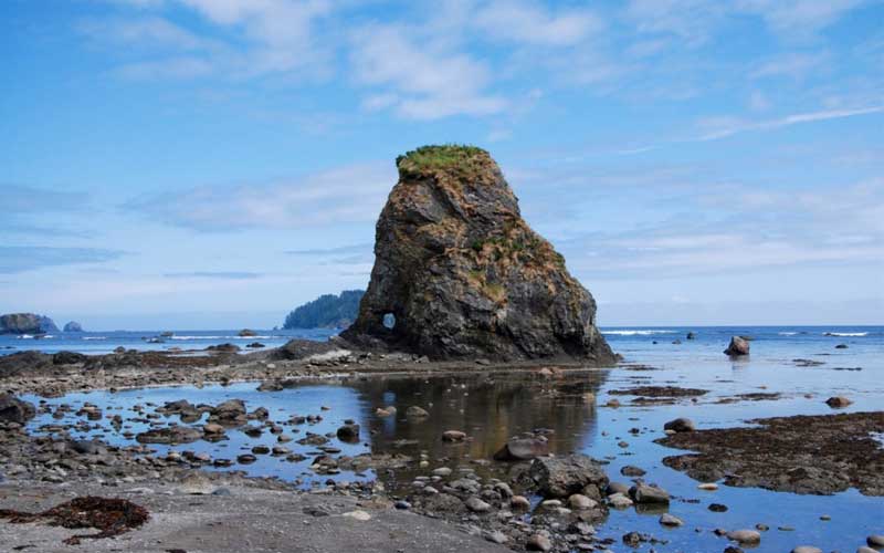 Ozette Triangle Trail - Olympic National Park, WA