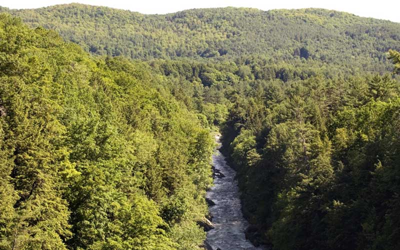 Quechee Gorge Dewey Pond Trail - Quechee State Park, VT