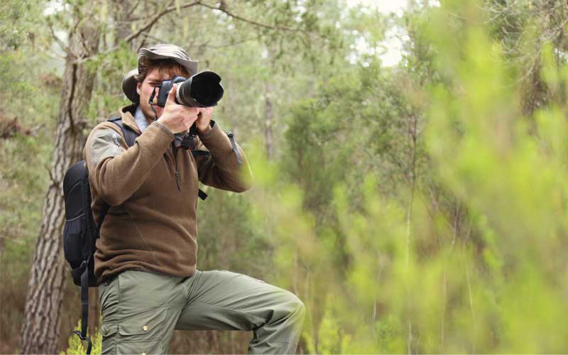 Wildlife photographer taking photo