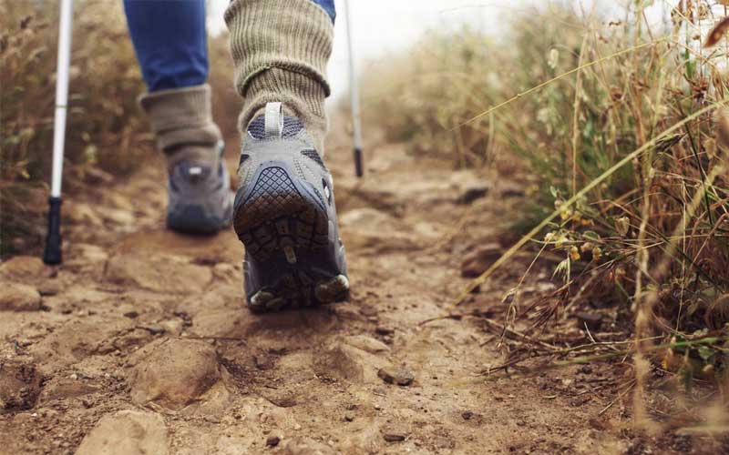 Trekking Poles