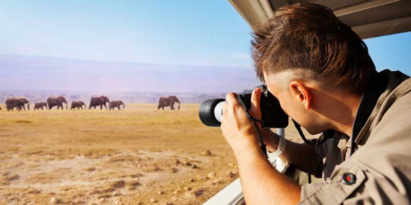 You are currently viewing Best Affordable Cameras for Wildlife Photography
