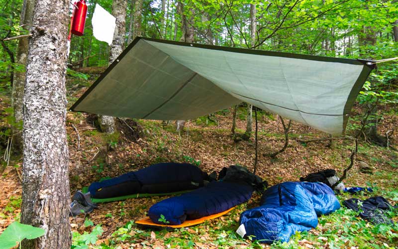 Critical Sleeping Bag Considerations