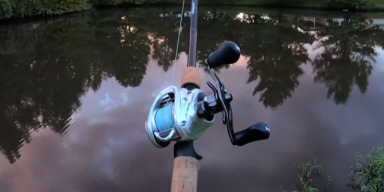 Read more about the article Bass Pro Shops Extreme Baitcast Reel Review