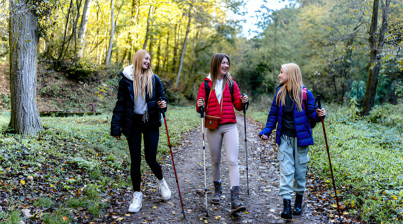Hiking Stick vs. Trekking Pole: What’s the Difference?