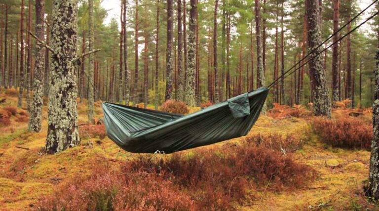 Read more about the article Best Camping Hammocks in the UK 2025