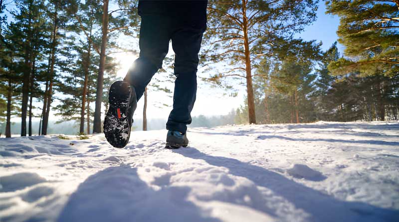 You are currently viewing Best Winter Hiking Boots in the UK