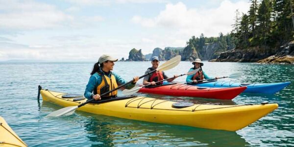 Best Sea Kayaks for Beginners of 2026
