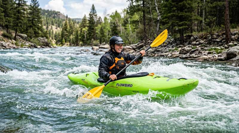 Best Whitewater Kayaks for Beginners of 2026