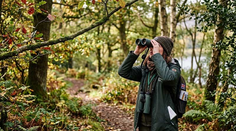 Best Binoculars for Bird Watching in the UK